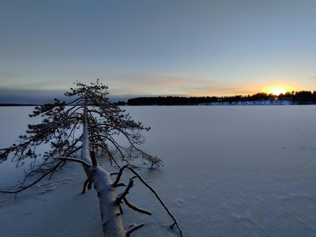 Villa Sirius Sieri, Nice Log-Cottage By The Lake Rovaniemi Exteriér fotografie