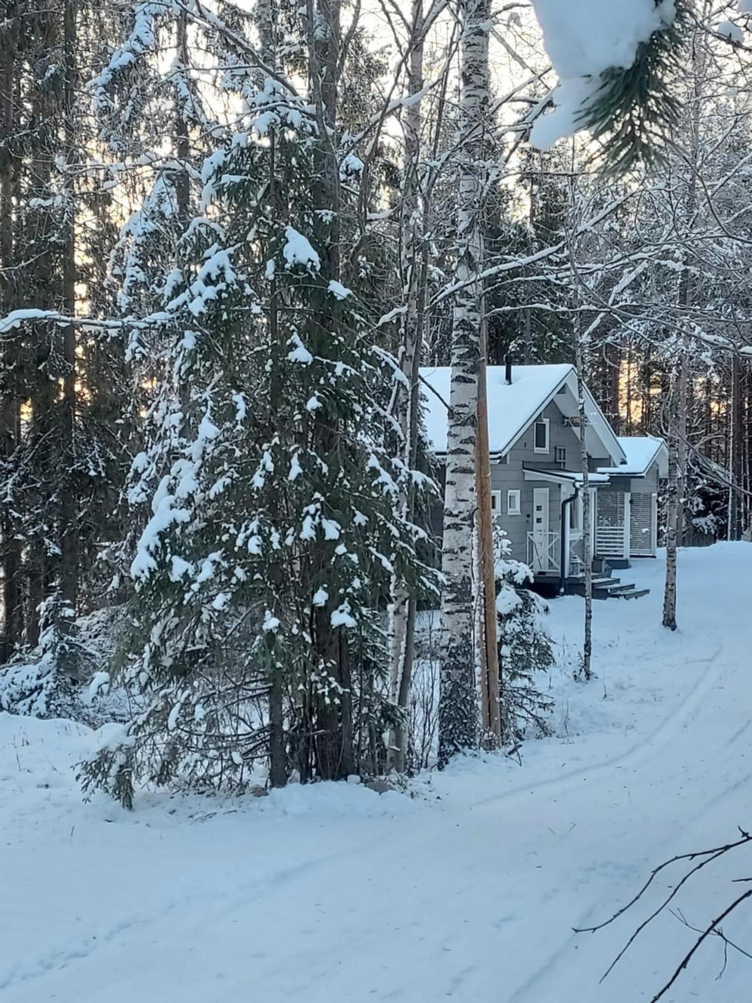 Villa Sirius Sieri, Nice Log-Cottage By The Lake Rovaniemi Exteriér fotografie